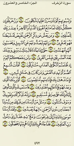 n zTnC239zYLG Mr.jpg