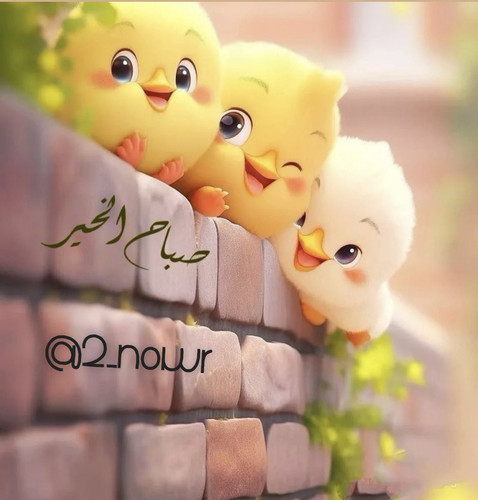 GxyiR aW8AAeF4i.jpg
