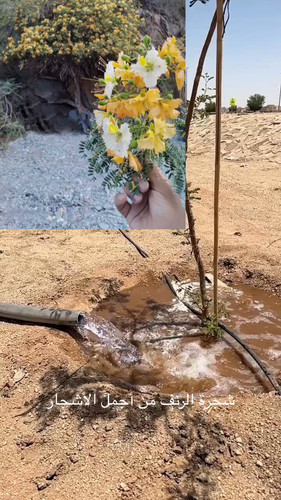utIlo9JVxMz0i7NO.jpg