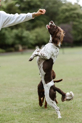 ReggieAndSaffie 0687.jpg