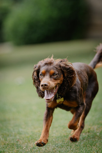 ReggieAndSaffie 1141.jpg