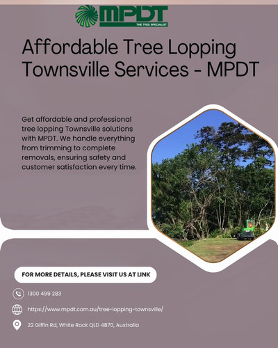Affordable Tree Lopping Townsville Services MPDT.jpg
