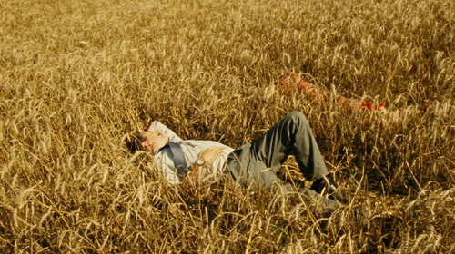 Gise.Memuru.2010.Yerli.1080p.iTunes.WEB DL.H264.AC3.5.1 HdT.mkv 004412911.png