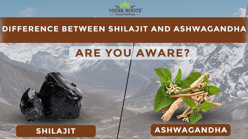 difference btw shilajit and ashwagandha.jpg