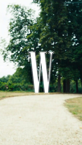 Pg kxtalBMSs4sxH.jpg