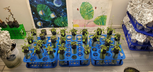 GxiZ6w4XMAA1BX ?format=jpg.jpg