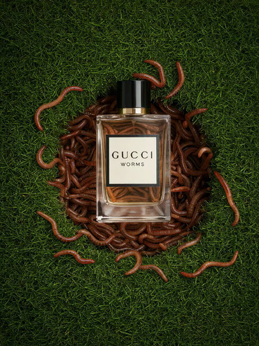 0EAzNNcOj FBocuc.jpg