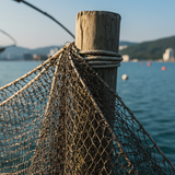 prompt image 6 1152x1152