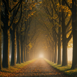 prompt image 2 1024x768