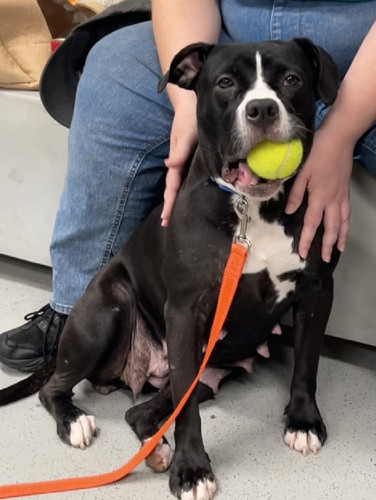 GxdjYyJbIAAK Lo?format=jpg.jpg