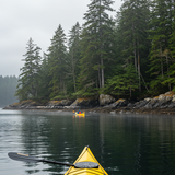 prompt image 5 1152x896