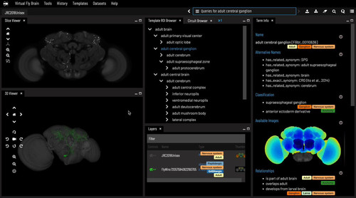 2otnjI8gYZKF XoG.jpg