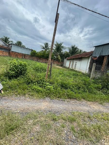 529728122 10230445195619942 8037014335286361651 n.jpg