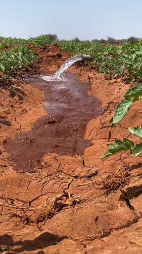 Mt7 hmIQNbkbAO6T.jpg