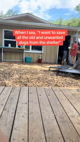 atY3qf AgSByOBck.jpg