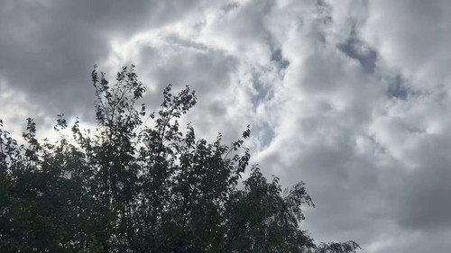 cHG 3bCmziOqca o.jpg