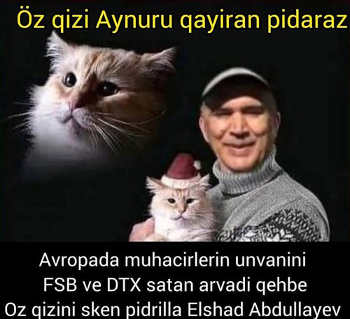 526767936 122245824176033129 2511402761579624099 n.jpg?stp=dst jpg p180x540 tt6& nc cat=111&ccb=1 7&.jpg