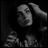 312312.gif