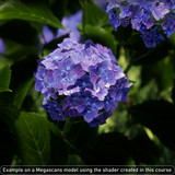 file (17)