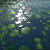 file (7)