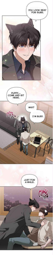 17.png