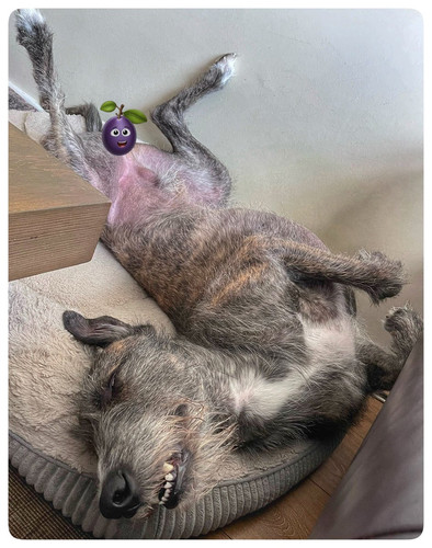 GxxdlDbWMAAAMwJ.jpg