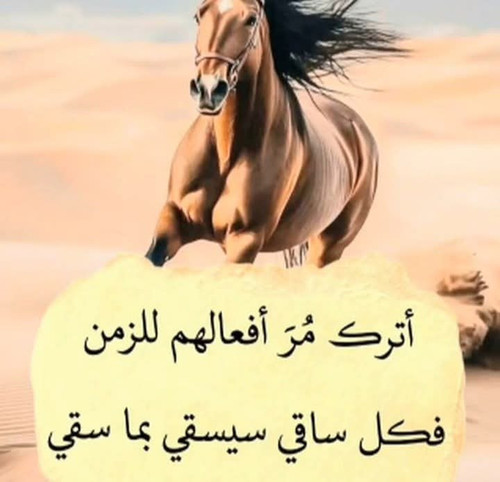FB IMG 1754616234369.jpg