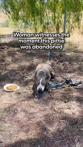 J3um RcwtyIEqVXx.jpg