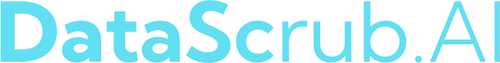 DataScrub.AI.png