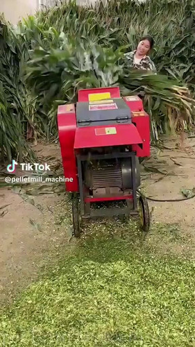 bYbLgQYkt9473Efh.jpg