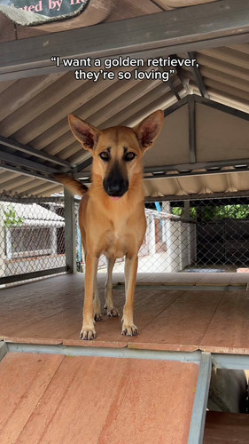 Z19m0yxncaOar4Z .jpg