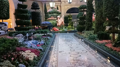 Se0MVEoGJB oiXqx.jpg