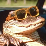 chrome ZQ0UEcsNU3.png