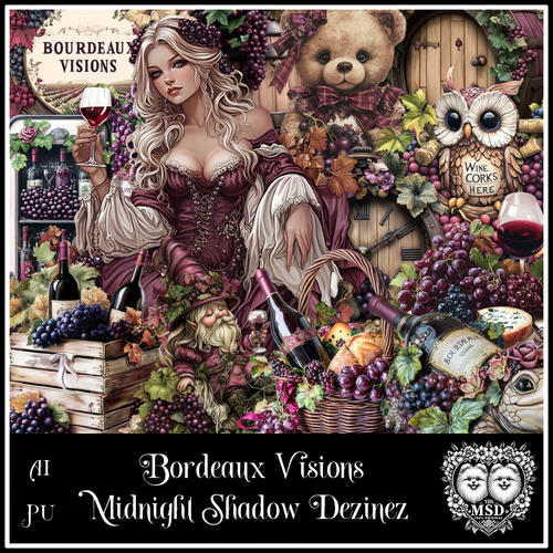 MSD Bordeaux Visions Prev.png