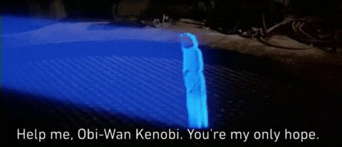 Gxx8qwmXwAAY4jM.jpg