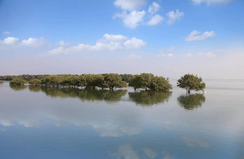 Gx1O5L4WIAEJr b?format=jpg.jpg