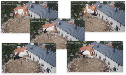 Bilder3.jpg