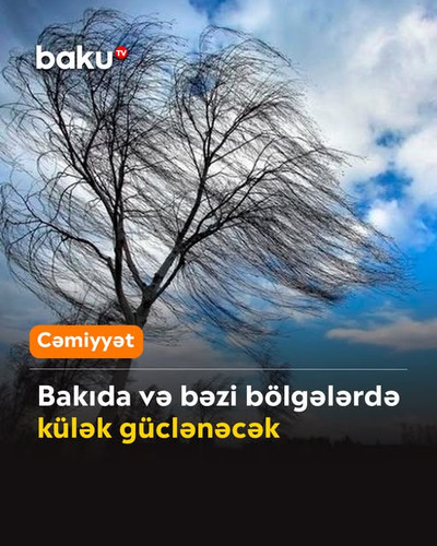 530126406 122220871280146263 5573702383568704384 n.jpg?stp=dst jpg s640x640 tt6& nc cat=110&ccb=1 7&.jpg