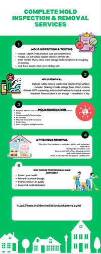 Complete Mold Inspection & Removal Services.jpg