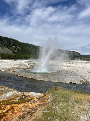 IMG 9312.jpg