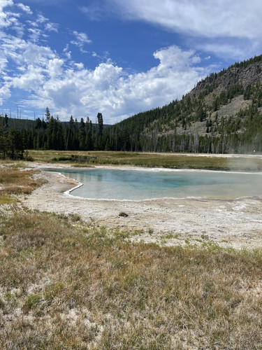 IMG 9313.jpg