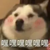 57a2c6c98763426b1cb5fd1f179875a88708fef7e40137cb883ecd56d52006b2.0