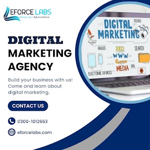 Transform your online presence with eForce Labs' premier Digital Marketing Agency!.jpg