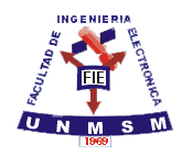 unmsm fiee.png