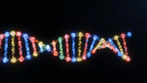 I7mra vFb1pO 98Q.jpg