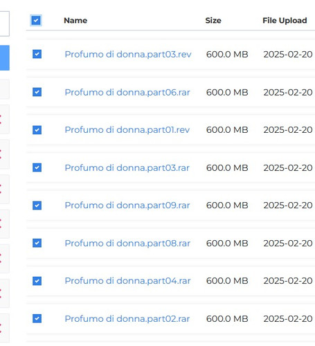 Immagine 2025 08 13 175136.jpg