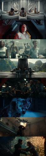InCollage 20250813 164706513.png