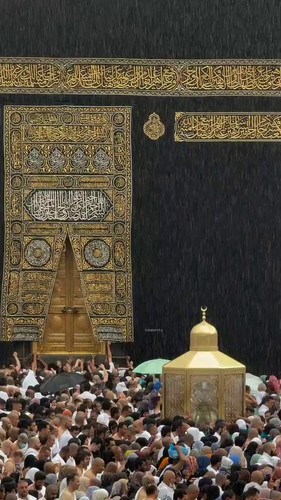 W WecPSt008OlMEB.jpg