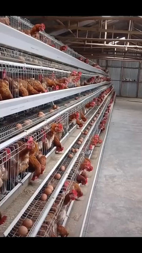 j ZTScgQLyDRR2oJ.jpg