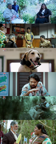 InCollage 20250813 165515821.png